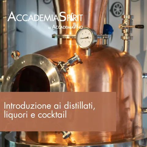 Introduzione ai distillati, liquori e cocktail