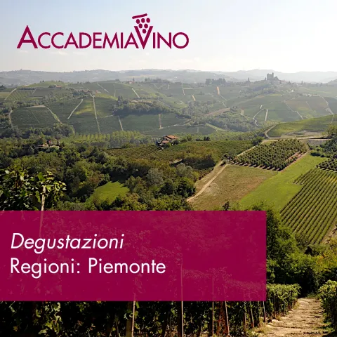 Degustazioni – Regioni: Piemonte