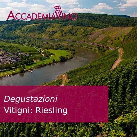 Degustazioni – Vitigni: riesling
