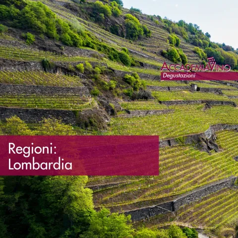 Degustazione regione Lombardia