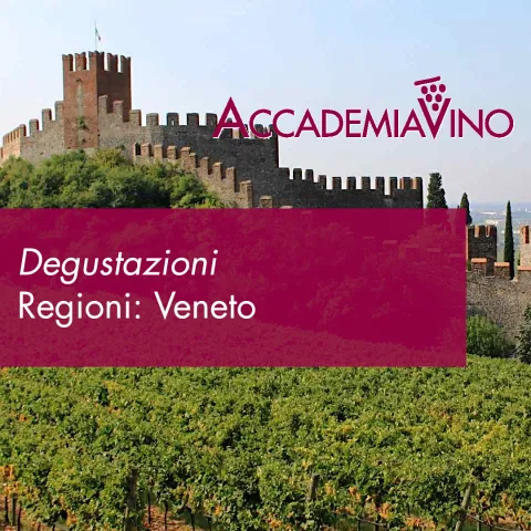 Degustazioni – Regioni: Veneto